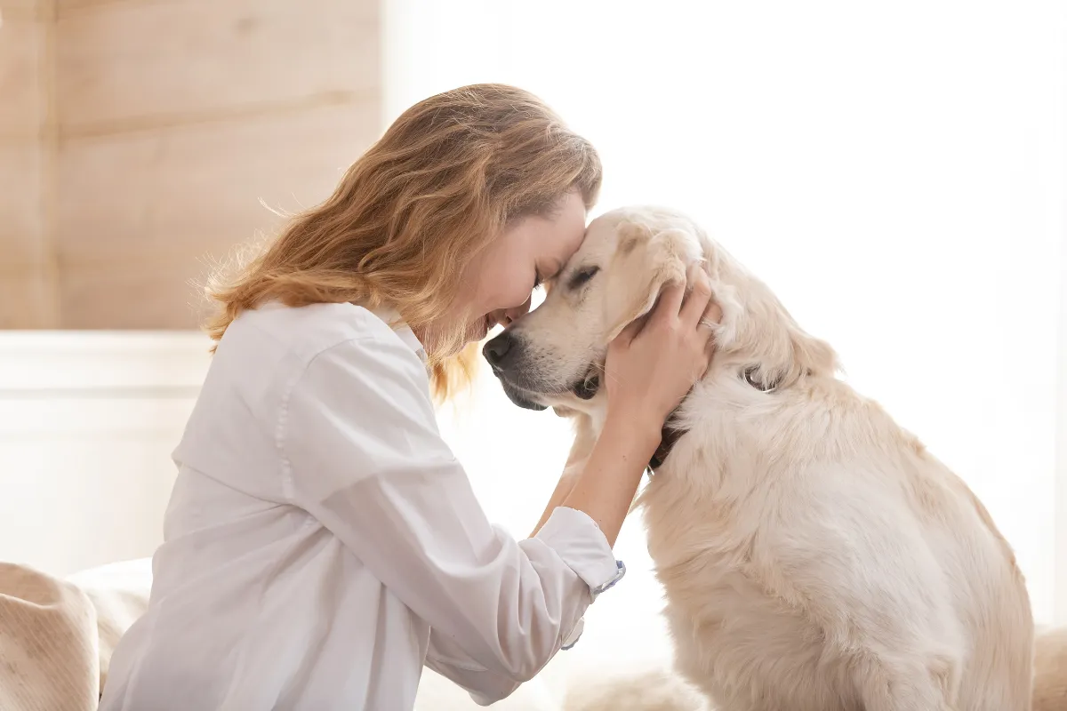 Por Que Contratar um Seguro para Pets é Essencial Hoje