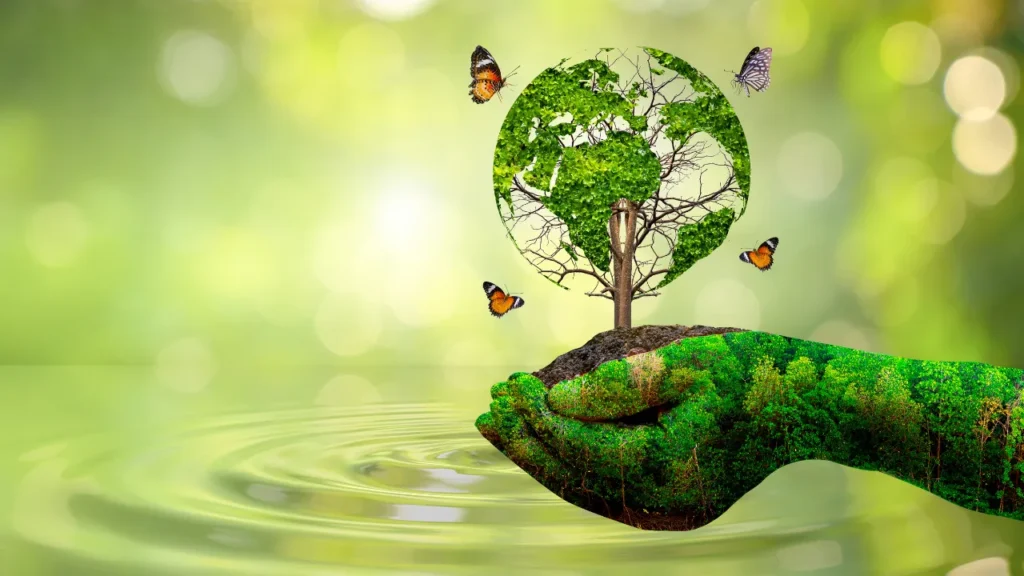 meio ambiente e sustentabilidade no dia a dia