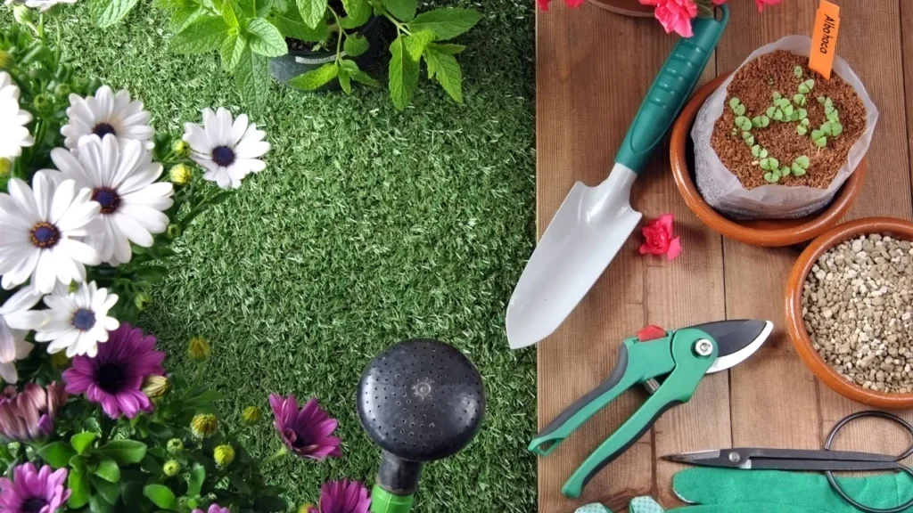 Como Escolher Plantas Ideais para um Jardim Duradouro
