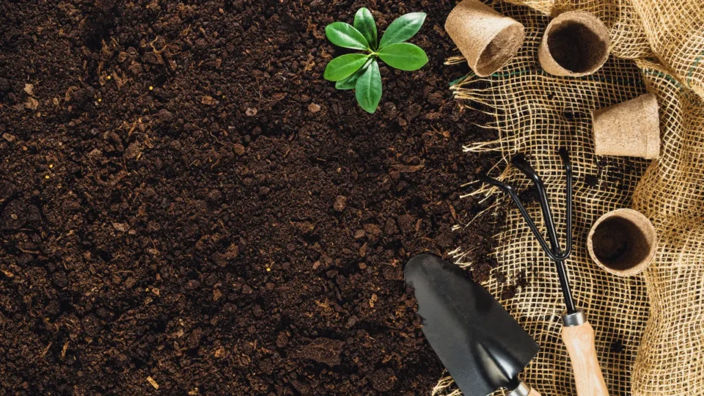 Como Escolher Plantas Ideais para um Jardim Duradouro
