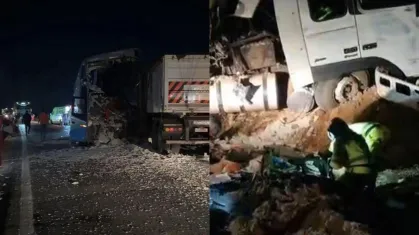 Politec identifica todas as 11 vítimas fatais de acidente entre ônibus e carreta na BR-163