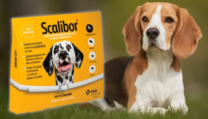 Coleira antipulgas scalibor cães pequenos e médios 48cm: proteção completa que seu pet merece