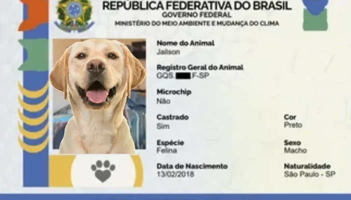 Como o SinPatinhas Está Facilitando o Cadastro de Animais Domésticos