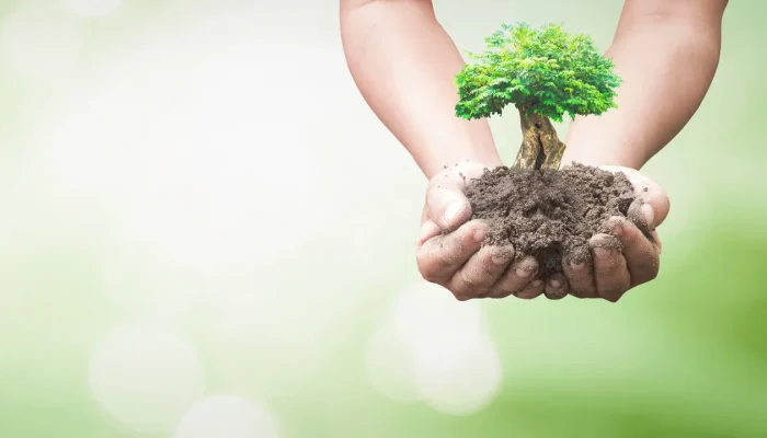 meio ambiente e sustentabilidade no dia a dia