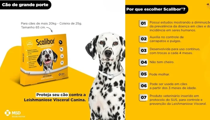 Coleira antiparasitária scalibor cão pequeno e médio 19g- Coleira antiparasitária scalibor