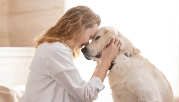 Por Que Contratar um Seguro para Pets é Essencial Hoje