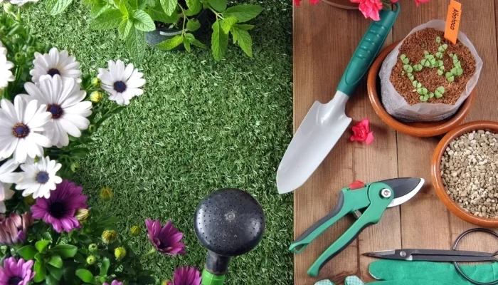 Como Escolher Plantas Ideais para um Jardim Duradouro
